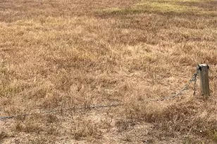 7962 Parker Elaine Dr, Conroe, TX 77306 - Photo 6