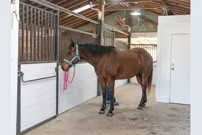 36003 Post Oak Circle, Magnolia, TX 77355 - Photo 4