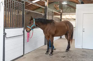 36003 Post Oak Cir, Magnolia, TX 77355 - Photo 4