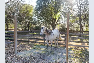 36003 Post Oak Circle, Magnolia, TX 77355 - Photo 40