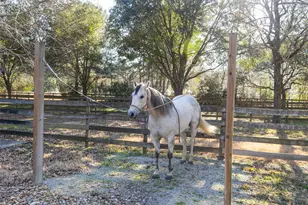 36003 Post Oak Cir, Magnolia, TX 77355 - Photo 40