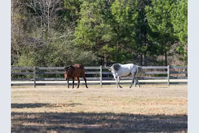 36003 Post Oak Circle, Magnolia, TX 77355 - Photo 44
