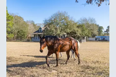 36003 Post Oak Circle, Magnolia, TX 77355 - Photo 34