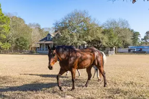 36003 Post Oak Cir, Magnolia, TX 77355 - Photo 34