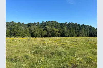 0 Hardy Bottom Road, Huntsville, TX 77340 - Photo 4