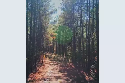 1609 Leona Lane, Montgomery, TX 77316 - Photo 10