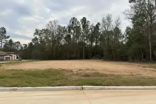 1609 Leona Ln, Montgomery, TX 77316 - Photo 4