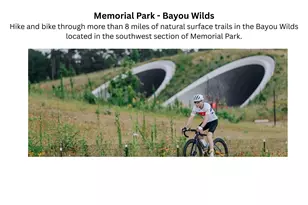 4536 Sunburst St, Bellaire, TX 77401 - Photo 32