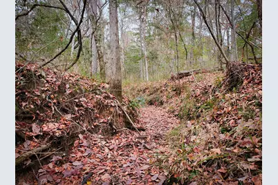 11111 E US Hwy 190, Jasper, TX 75951 - Photo 44