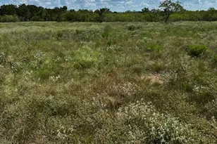 Lot 1 County Road 420, Waelder, TX 78959 - Photo 1