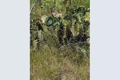 Lot 1 County Road 420, Waelder, TX 78959 - Photo 4