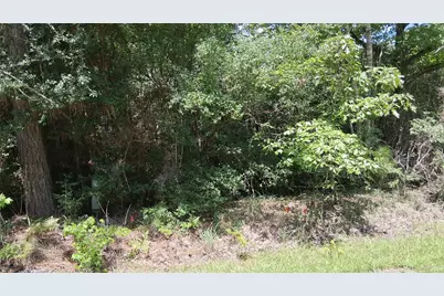 Lot 15 Sec 17 Sumac Drive, Brookeland, TX 75931 - Photo 12