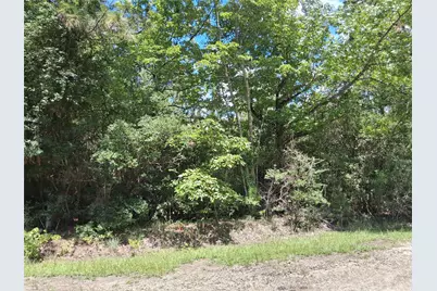 Lot 15 Sec 17 Sumac Drive, Brookeland, TX 75931 - Photo 10