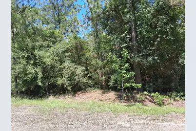 Lot 15 Sec 17 Sumac Drive, Brookeland, TX 75931 - Photo 8