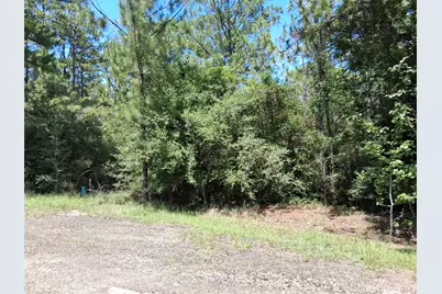 Lot 15 Sec 17 Sumac Drive, Brookeland, TX 75931 - Photo 14