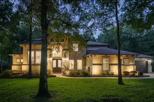 27710 Ossineke Dr, Spring, TX 77386 - Photo 4