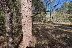 Lot 107 Whisperwood Dr, Onalaska, TX 77360 - Photo 1