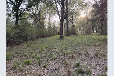 Tbd County Road 2284 Freddie Rice Road, Cleveland, TX 77327 - Photo 6