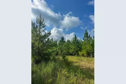 T-2 Fm 943, Kountze, TX 77625 - Photo 6