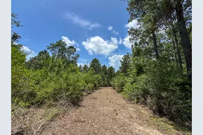 8 Benny Griffin Road, Livingston, TX 77351 - Photo 28