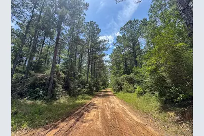 8 Benny Griffin Road, Livingston, TX 77351 - Photo 38