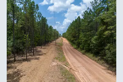 8 Benny Griffin Road, Livingston, TX 77351 - Photo 6