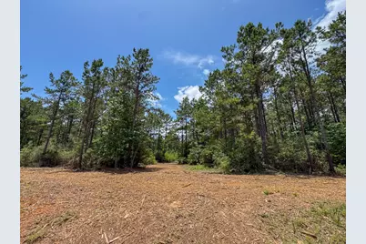 8 Benny Griffin Road, Livingston, TX 77351 - Photo 26