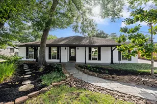 28923 Pine Hill Dr, Shenandoah, TX 77381 - Photo 1