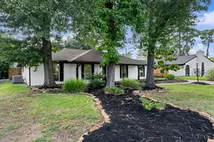 28923 Pine Hill Dr, Shenandoah, TX 77381 - Photo 2