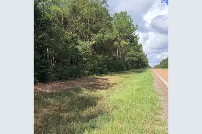 Tbd Fm 943 3 Acres, Livingston, TX 77351 - Photo 4