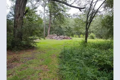 1806 S Elizabeth Avenue, Kirbyville, TX 75956 - Photo 10