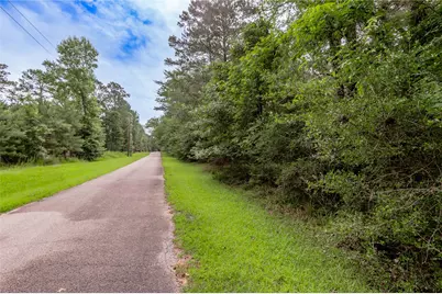 Lot 04 Sweetgum Drive, Trinity, TX 75862 - Photo 8