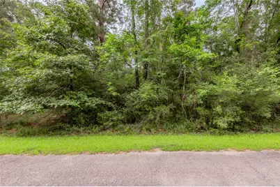 Lot 04 Sweetgum Drive, Trinity, TX 75862 - Photo 6