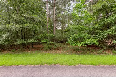 Lot 04 Sweetgum Drive, Trinity, TX 75862 - Photo 10