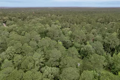 Lot 04 Sweetgum Drive, Trinity, TX 75862 - Photo 18