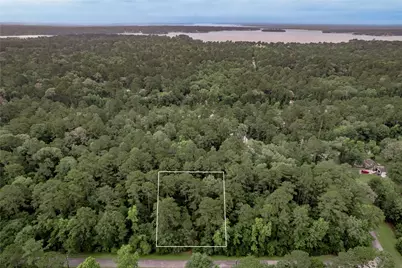 Lot 04 Sweetgum Drive, Trinity, TX 75862 - Photo 2