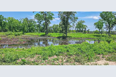 000 Tinney Road, Livingston, TX 77351 - Photo 1