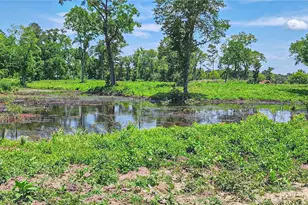 000 Tinney Rd, Livingston, TX 77351 - Photo 1