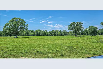 000 Tinney Road, Livingston, TX 77351 - Photo 6