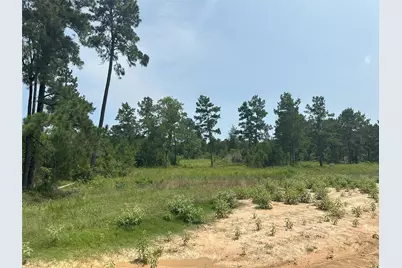 25660 Crocket Road, Waller, TX 77484 - Photo 10