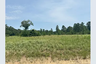 25660 Crocket Road, Waller, TX 77484 - Photo 8