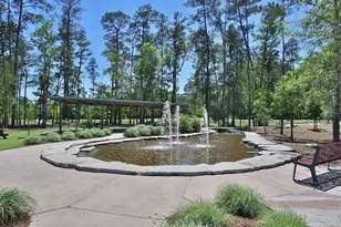 290 Texoma Plains Dr, Conroe, TX 77304 - Photo 10
