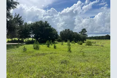 Tbd Private Road 8309, Woodville, TX 77624 - Photo 6