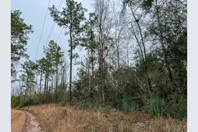 2 Fm 2626, Newton, TX 75966 - Photo 12