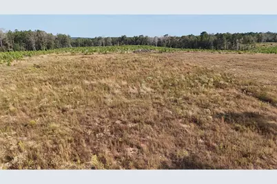 Tbd 3 Young Road, Livingston, TX 77351 - Photo 1