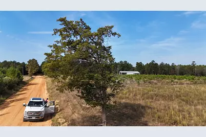 Tbd 3 Young Road, Livingston, TX 77351 - Photo 8