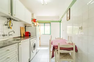 22 Rua AcÃºrcio Pereira, Almont, CO 1800- - Photo 14
