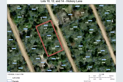 Tbd Hickory Lane, Hilltop Lakes, TX 77871 - Photo 2