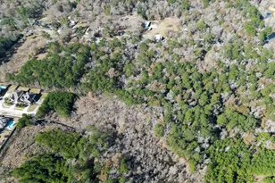 0 Tr 9 Dunnam Rd, Houston, TX 77345 - Photo 24