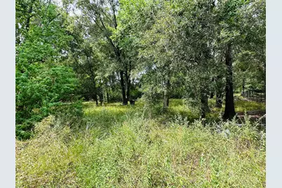 619 Lakeville Drive, Kingwood, TX 77339 - Photo 34